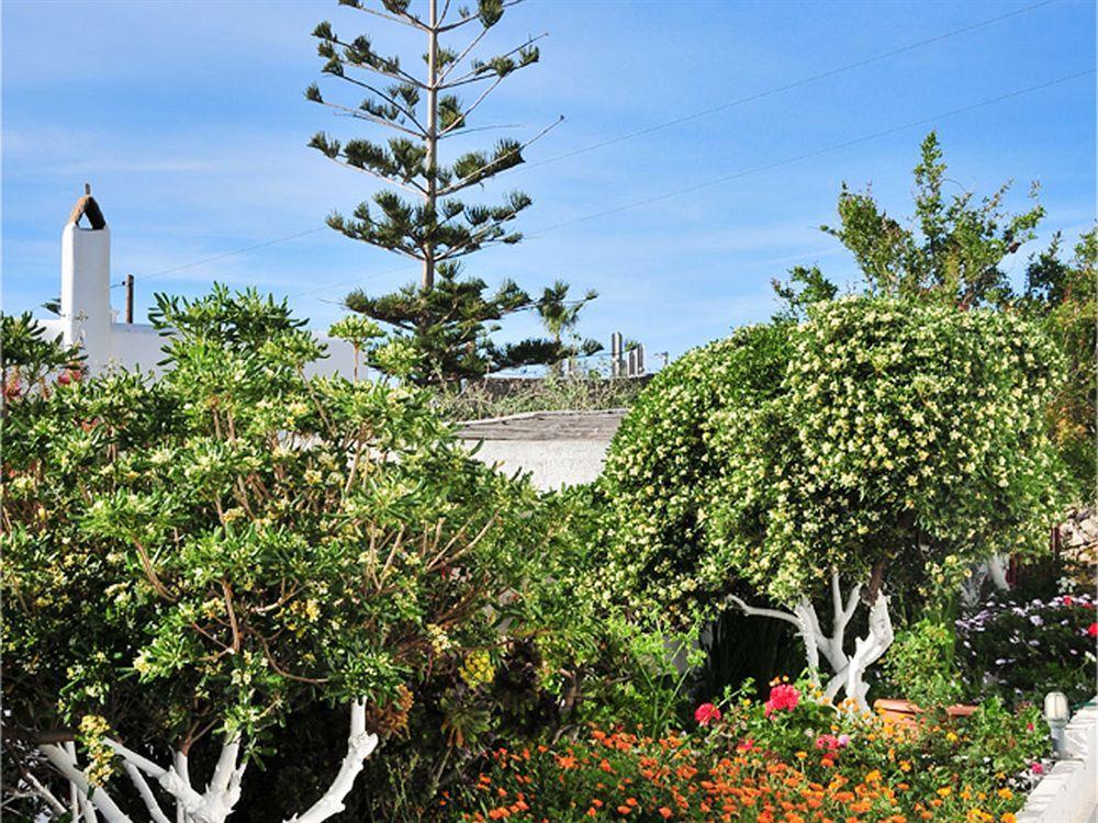 Dimitra Pension Mykonos Town Eksteriør bilde