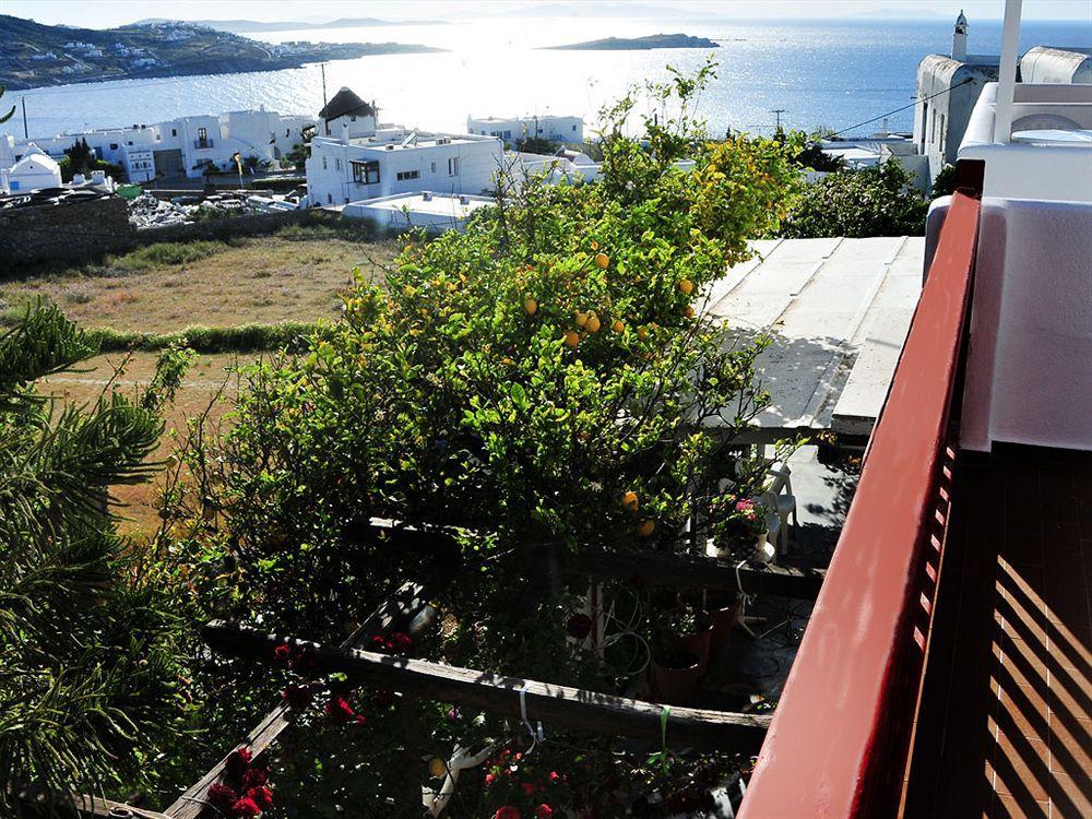 Dimitra Pension Mykonos Town Eksteriør bilde